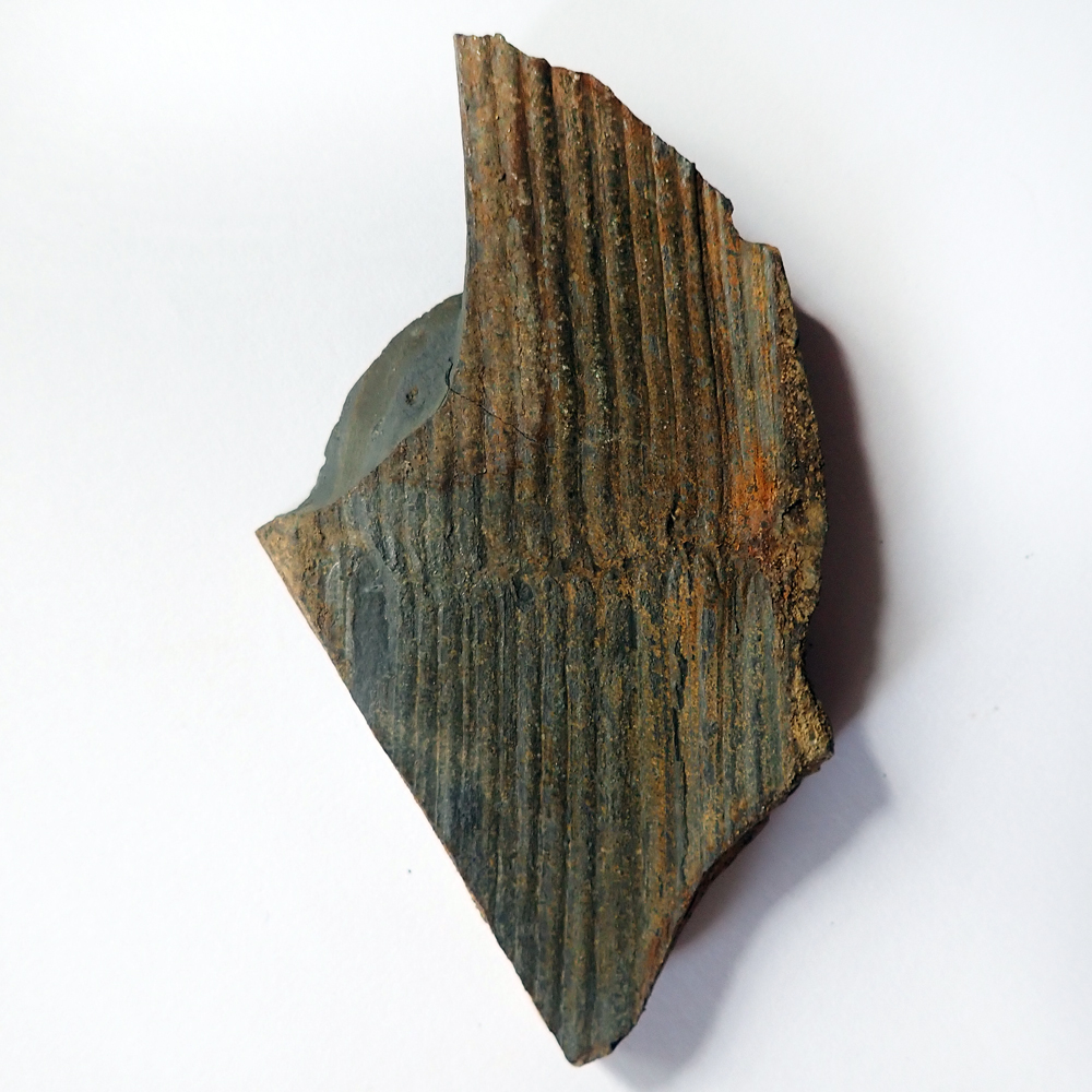 ALMA-PANTS - FOSSIL